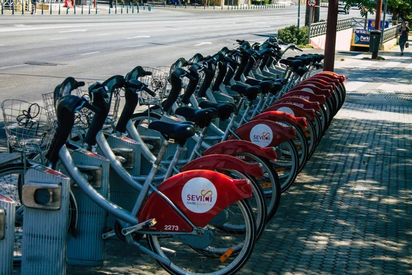 Sevilla España Agosto 2021 Bicicletas Accesibles Para Alquilar Por Cortos — Foto de Stock