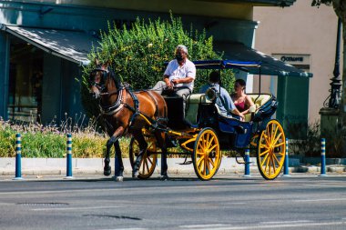 Seville İspanya 21 Ağustos 2021 Coronavirüs salgını sırasında İspanya 'ya maske takarak at arabasıyla gitmek zorunludur.