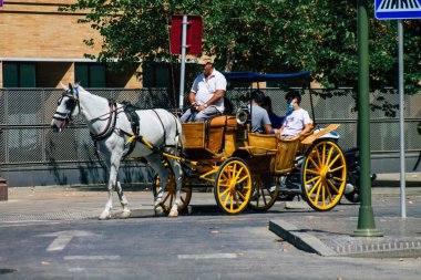 Seville İspanya 21 Ağustos 2021 Coronavirüs salgını sırasında İspanya 'ya maske takarak at arabasıyla gitmek zorunludur.