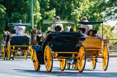 Seville İspanya 21 Ağustos 2021 Coronavirüs salgını sırasında İspanya 'ya maske takarak at arabasıyla gitmek zorunludur.