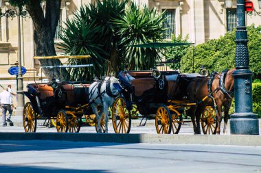 Seville İspanya 21 Ağustos 2021 Coronavirüs salgını sırasında İspanya 'ya maske takarak at arabasıyla gitmek zorunludur.