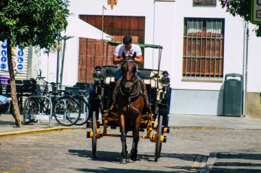 Seville İspanya 21 Ağustos 2021 Coronavirüs salgını sırasında İspanya 'ya maske takarak at arabasıyla gitmek zorunludur.