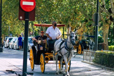 Seville İspanya 21 Ağustos 2021 Coronavirüs salgını sırasında İspanya 'ya maske takarak at arabasıyla gitmek zorunludur.