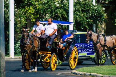 Seville İspanya 21 Ağustos 2021 Coronavirüs salgını sırasında İspanya 'ya maske takarak at arabasıyla gitmek zorunludur.