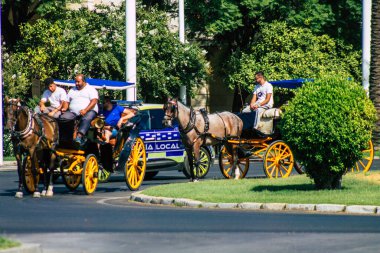 Seville İspanya 21 Ağustos 2021 Coronavirüs salgını sırasında İspanya 'ya maske takarak at arabasıyla gitmek zorunludur.
