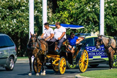 Seville İspanya 21 Ağustos 2021 Coronavirüs salgını sırasında İspanya 'ya maske takarak at arabasıyla gitmek zorunludur.