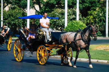 Seville İspanya 21 Ağustos 2021 Coronavirüs salgını sırasında İspanya 'ya maske takarak at arabasıyla gitmek zorunludur.