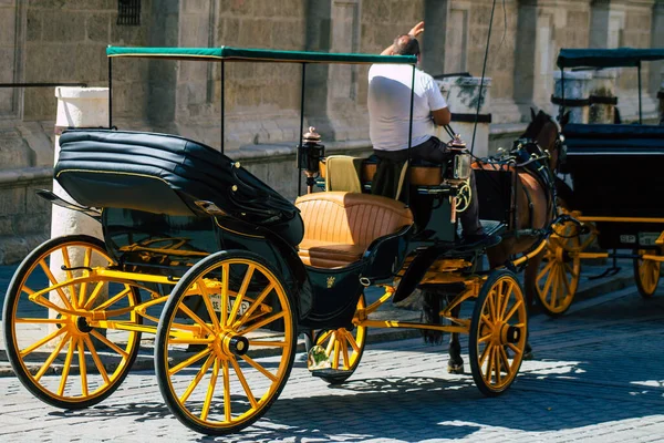 Seville Spain August 2021 Horse Drawn Carriage Ride Streets Seville — Stock Photo, Image
