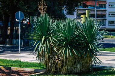 Seville İspanya 21 Ağustos 2021 İspanya 'nın güneyinde, sembolik bir şehir ve Endülüs Bölgesi' nin başkenti olan Sevilla sokaklarında çiçek açan doğa.