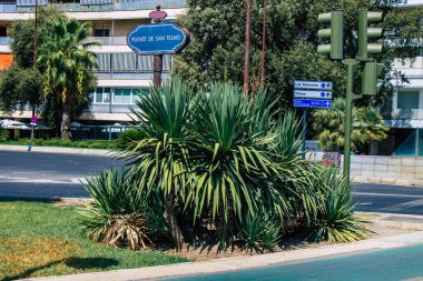 Seville İspanya 21 Ağustos 2021 İspanya 'nın güneyinde, sembolik bir şehir ve Endülüs Bölgesi' nin başkenti olan Sevilla sokaklarında çiçek açan doğa.