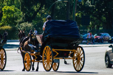 Sevilla İspanya 28 Ağustos 2021 Coronavirüs salgını sırasında Seville sokaklarında at arabası gezintisi yapmak zorunludur, maske takmak zorunludur.