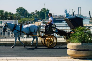Sevilla İspanya 28 Ağustos 2021 Coronavirüs salgını sırasında Seville sokaklarında at arabası gezintisi yapmak zorunludur, maske takmak zorunludur.