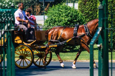 Sevilla İspanya 28 Ağustos 2021 Coronavirüs salgını sırasında Seville sokaklarında at arabası gezintisi yapmak zorunludur, maske takmak zorunludur.