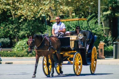Sevilla İspanya 28 Ağustos 2021 Coronavirüs salgını sırasında Seville sokaklarında at arabası gezintisi yapmak zorunludur, maske takmak zorunludur.