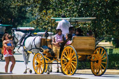 Sevilla İspanya 28 Ağustos 2021 Coronavirüs salgını sırasında Seville sokaklarında at arabası gezintisi yapmak zorunludur, maske takmak zorunludur.