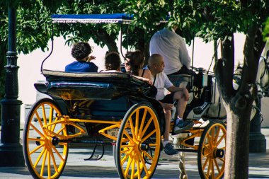 Sevilla İspanya 28 Ağustos 2021 Coronavirüs salgını sırasında Seville sokaklarında at arabası gezintisi yapmak zorunludur, maske takmak zorunludur.