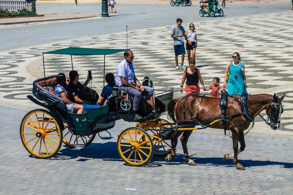 Seville Spain August 2021 Horse Drawn Carriage Ride Streets Seville — Stock Photo, Image