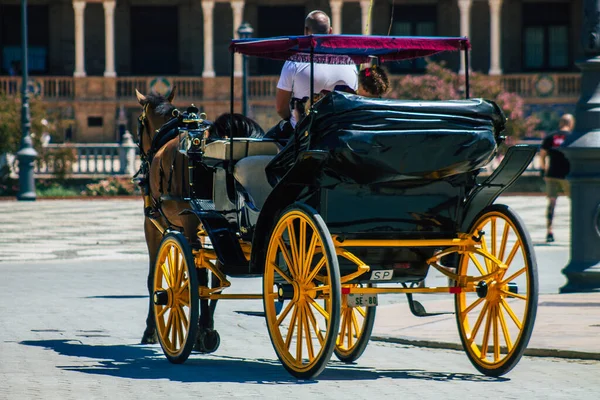 Seville Spain August 2021 Horse Drawn Carriage Ride Streets Seville — Stock Photo, Image