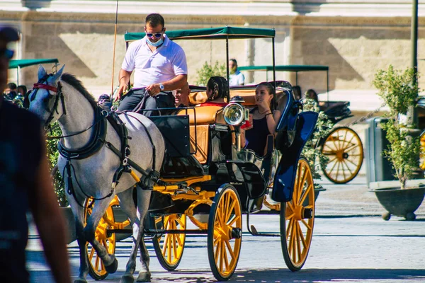 Seville Spain August 2021 Horse Drawn Carriage Ride Streets Seville — Stock Photo, Image