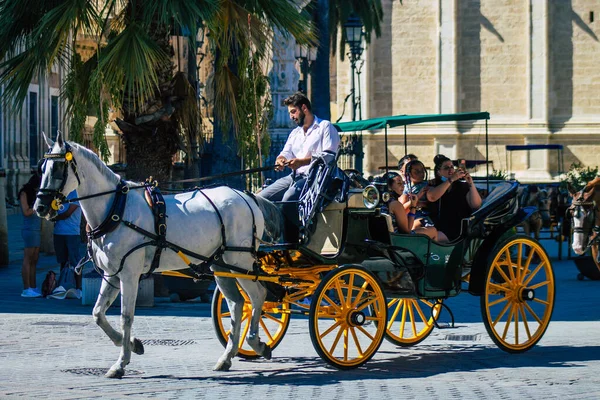 Seville Spain August 2021 Horse Drawn Carriage Ride Streets Seville — Stock Photo, Image