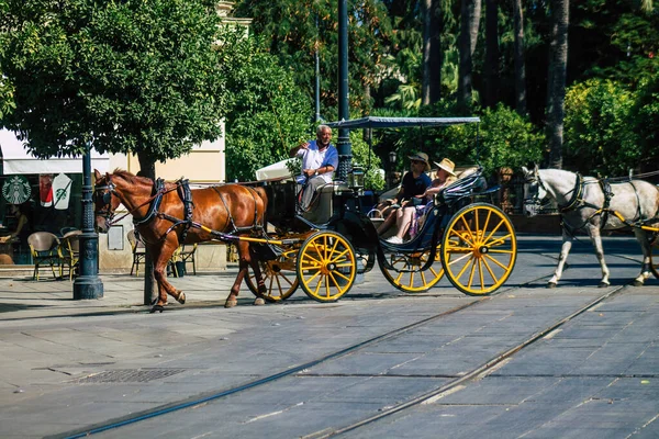 Sevilla España Agosto 2021 Paseo Carruaje Caballo Por Las Calles — Foto de Stock