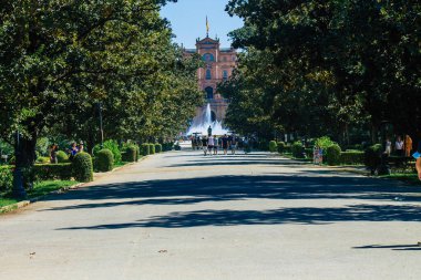 Seville İspanya 28 Ağustos 2021 'de Maria Luisa Parkı, İspanya' nın güneyindeki Endülüs Bölgesi 'nin başkenti ve sembolik şehri Sevilla' nın ilk yeşil akciğerlerinden biridir.