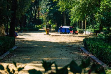 Seville İspanya 28 Ağustos 2021 'de Maria Luisa Parkı, İspanya' nın güneyindeki Endülüs Bölgesi 'nin başkenti ve sembolik şehri Sevilla' nın ilk yeşil akciğerlerinden biridir.