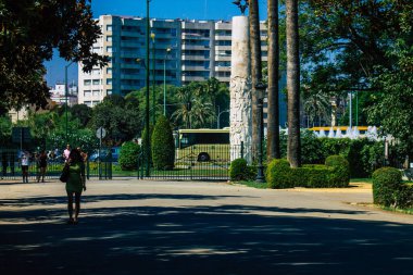 Seville İspanya 28 Ağustos 2021 'de Maria Luisa Parkı, İspanya' nın güneyindeki Endülüs Bölgesi 'nin başkenti ve sembolik şehri Sevilla' nın ilk yeşil akciğerlerinden biridir.