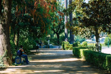 Seville İspanya 28 Ağustos 2021 'de Maria Luisa Parkı, İspanya' nın güneyindeki Endülüs Bölgesi 'nin başkenti ve sembolik şehri Sevilla' nın ilk yeşil akciğerlerinden biridir.