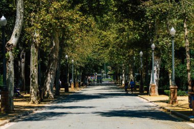 Seville İspanya 28 Ağustos 2021 'de Maria Luisa Parkı, İspanya' nın güneyindeki Endülüs Bölgesi 'nin başkenti ve sembolik şehri Sevilla' nın ilk yeşil akciğerlerinden biridir.