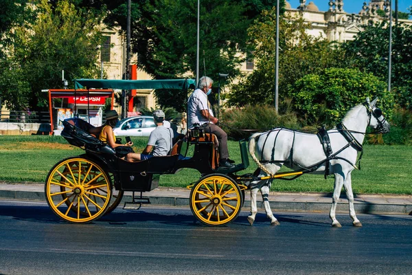 Seville Spain September 2021 Horse Drawn Carriage Ride Streets Seville — Stock Photo, Image