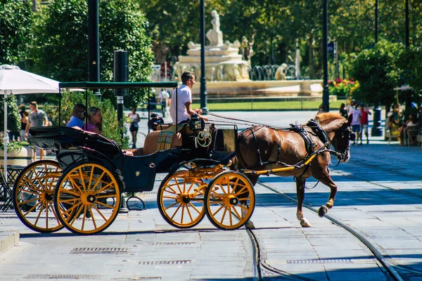 Seville İspanya 4 Eylül 2021 Coronavirüs salgını sırasında Seville sokaklarında at arabası gezintisi yapmak zorunda, maske takmak zorunludur.