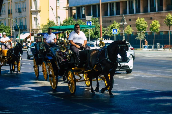 Sewilla Hiszpania Września 2021 Przejażdżka Powozem Konnym Ulicami Sewilli Podczas — Zdjęcie stockowe