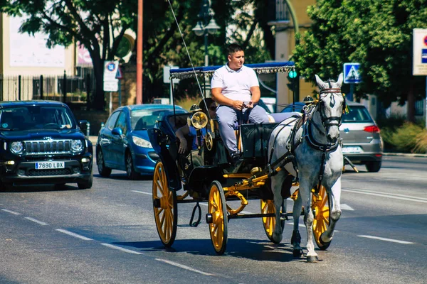 Seville İspanya 4 Eylül 2021 Coronavirüs salgını sırasında Seville sokaklarında at arabası gezintisi yapmak zorunda, maske takmak zorunludur.