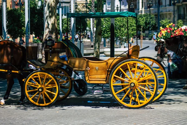 Seville Spain September 2021 Horse Drawn Carriage Ride Streets Seville — Stock Photo, Image