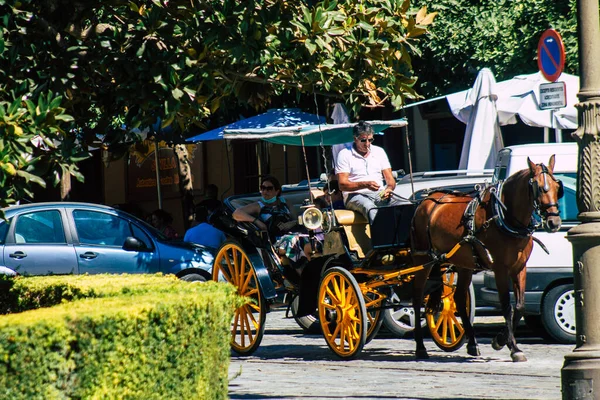 Seville İspanya 4 Eylül 2021 Coronavirüs salgını sırasında Seville sokaklarında at arabası gezintisi yapmak zorunda, maske takmak zorunludur.