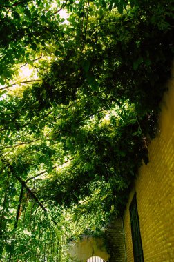 Sevilla İspanya 4 Eylül 2021 Sevilla Alcazar ve bahçeleri Müslüman döneminden kalma güçlendirilmiş bir saray. İspanya 'daki Mudejar mimarisinin en parlak örneği olarak kabul ediliyor.