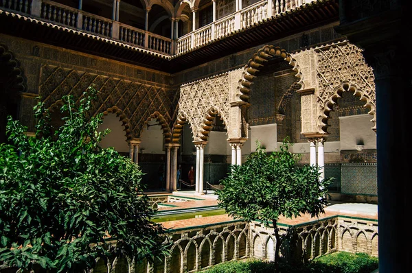 스페인 세빌랴 Seville Spain 2021 세비야의 카사르 Alcazar Seville 정원은 — 스톡 사진