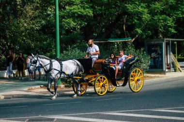 Seville İspanya 15 Eylül 2021 Coronavirüs salgını sırasında İspanya 'ya maske takarak at arabasıyla gitmek zorunludur.