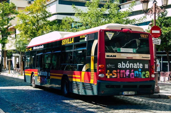 Séville Espagne Septembre 2021 Bus Dans Les Rues Séville Pendant — Photo