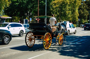 18 Eylül 2021 'de İspanya' da koronavirüs salgını sırasında Seville sokaklarında at arabasıyla dolaşmak zorunludur. Maske takmak zorunludur.