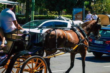 18 Eylül 2021 'de İspanya' da koronavirüs salgını sırasında Seville sokaklarında at arabasıyla dolaşmak zorunludur. Maske takmak zorunludur.