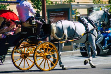 18 Eylül 2021 'de İspanya' da koronavirüs salgını sırasında Seville sokaklarında at arabasıyla dolaşmak zorunludur. Maske takmak zorunludur.