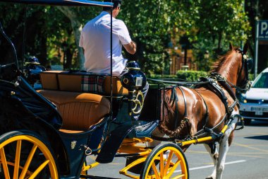 18 Eylül 2021 'de İspanya' da koronavirüs salgını sırasında Seville sokaklarında at arabasıyla dolaşmak zorunludur. Maske takmak zorunludur.