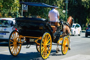 18 Eylül 2021 'de İspanya' da koronavirüs salgını sırasında Seville sokaklarında at arabasıyla dolaşmak zorunludur. Maske takmak zorunludur.