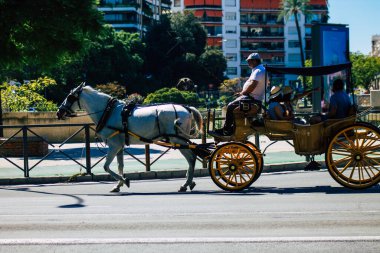 18 Eylül 2021 'de İspanya' da koronavirüs salgını sırasında Seville sokaklarında at arabasıyla dolaşmak zorunludur. Maske takmak zorunludur.