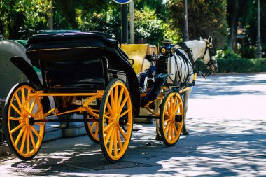 18 Eylül 2021 'de İspanya' da koronavirüs salgını sırasında Seville sokaklarında at arabasıyla dolaşmak zorunludur. Maske takmak zorunludur.