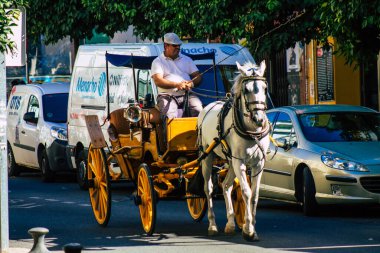 18 Eylül 2021 'de İspanya' da koronavirüs salgını sırasında Seville sokaklarında at arabasıyla dolaşmak zorunludur. Maske takmak zorunludur.
