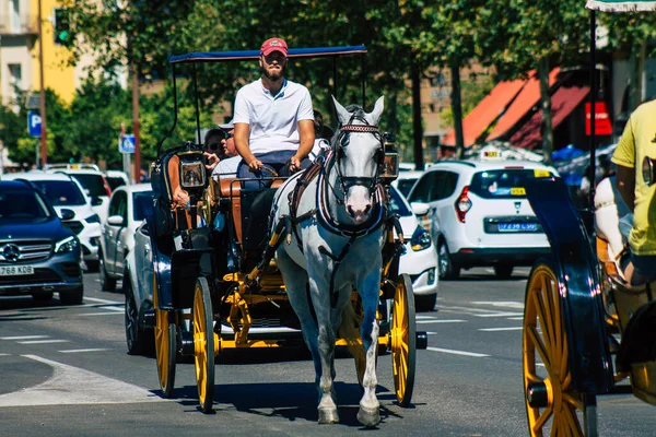 Seville Spain September 2021 Horse Drawn Carriage Ride Streets Seville — Stock Photo, Image