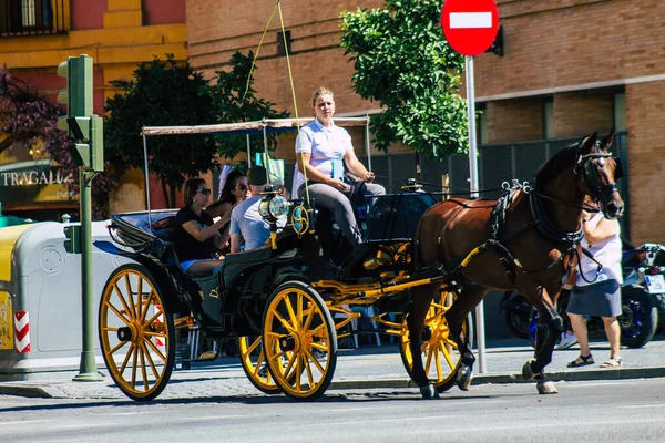 Seville Spain September 2021 Horse Drawn Carriage Ride Streets Seville — Stock Photo, Image